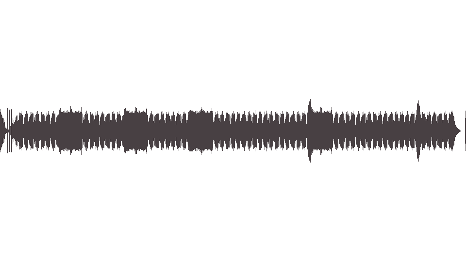 MIDI Vandals (The) — Pat Brown