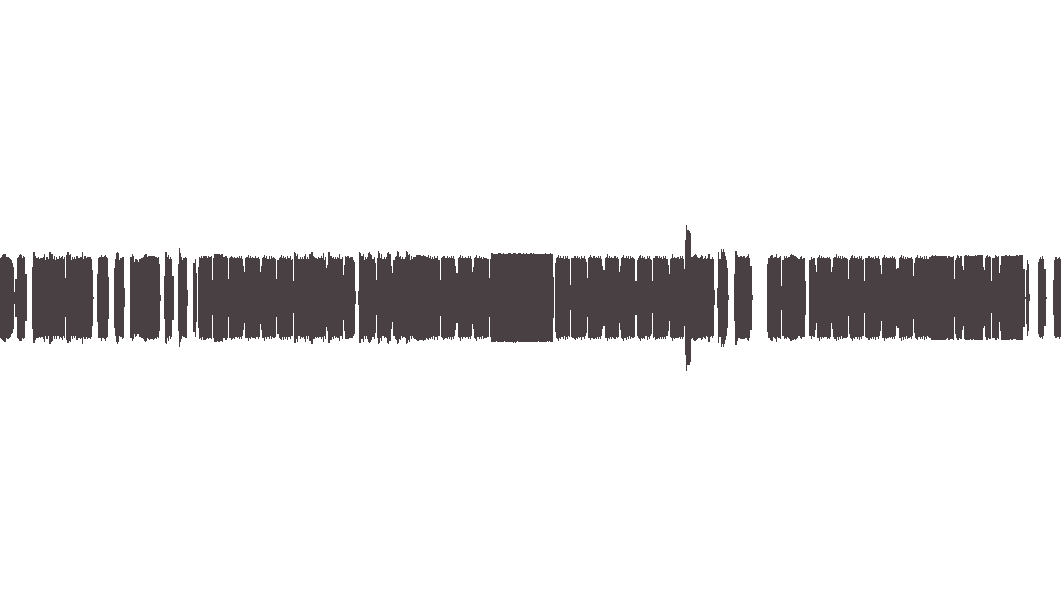 MIDI Verve (The) — All in the Mind