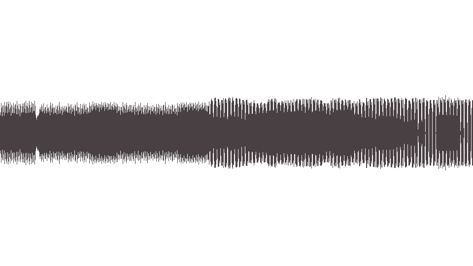MIDI Wriggles (Les) — Les Voisins