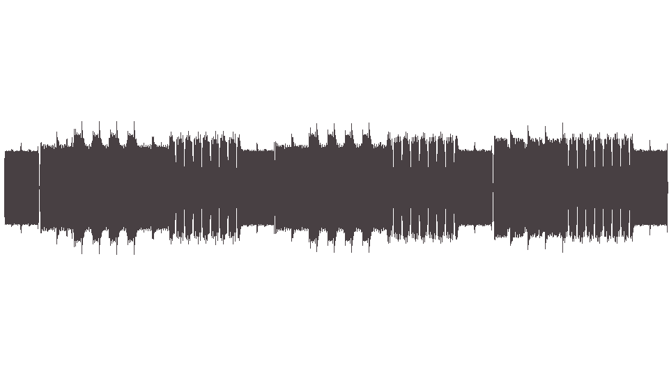 MIDI Zakk Wylde & Black Label Society — Bleed for Me