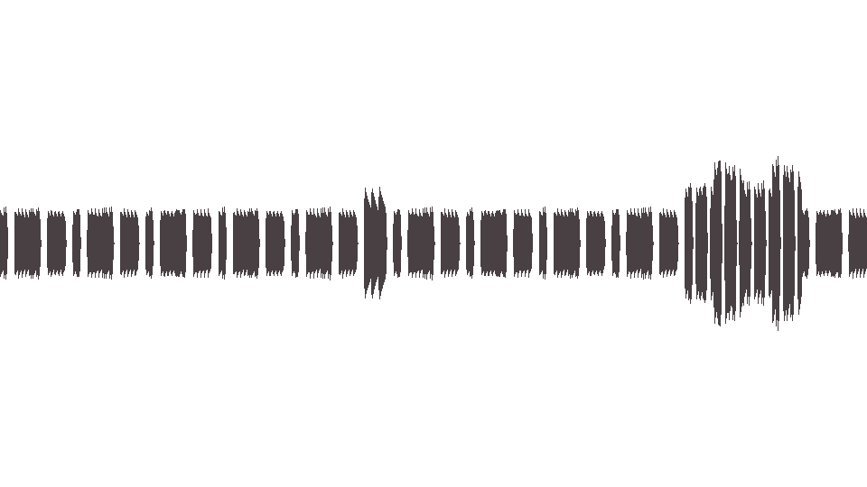 MIDI Трофим — Наблюдения во время прогулки