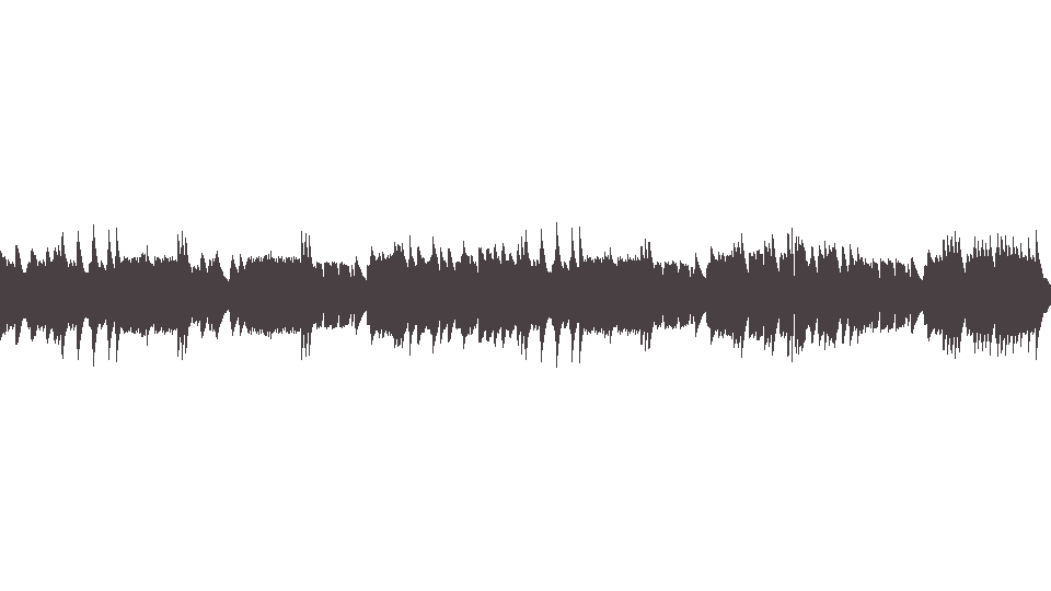 MIDI Eagles (The) — Wasted Time