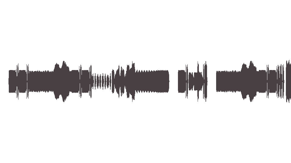 MIDI Friedman Marty - Ripped