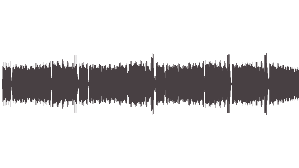 MIDI Alibabki — Czarny Kot
