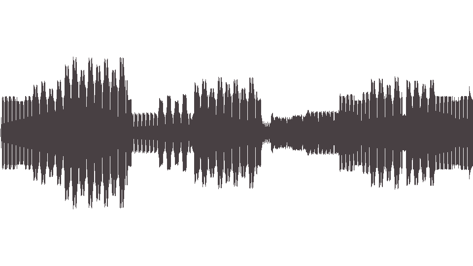 MIDI Dl Inc — For Blood and Honor