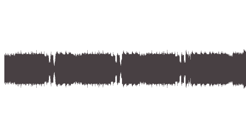 MIDI Heidevolk — Vulgaris Magistralis