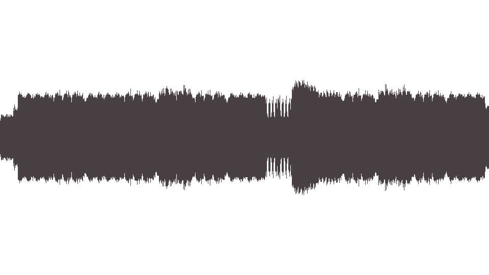MIDI Mad Capsule Markets (The) — Pulse